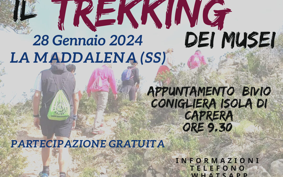 IL TREKKING DEI MUSEI